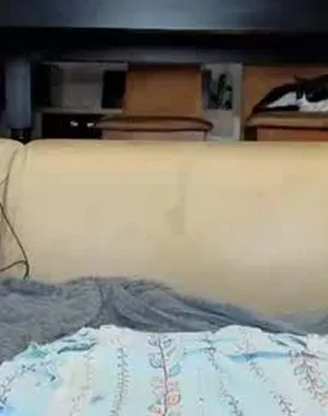 Ardeliacarhart