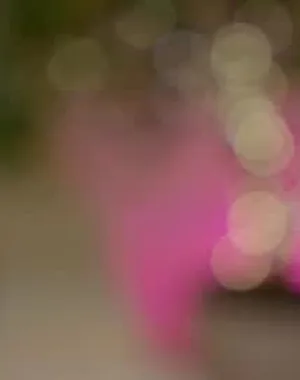 Blisstease