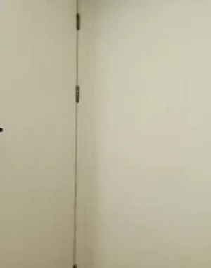 Buddiup2