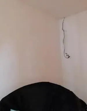 Erixed