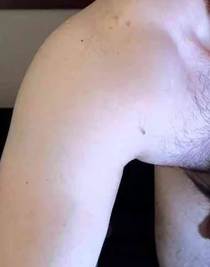 Hairyncuteass