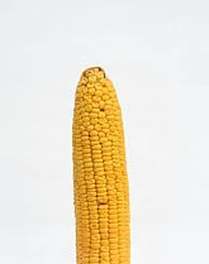 Hhhjjj89