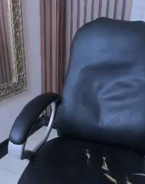 Leocarteer