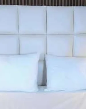 Maludiazx