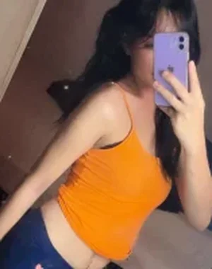 Perfectladyvoy