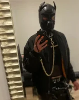 Ryanstormer