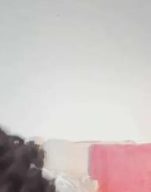 Vanellopeevans