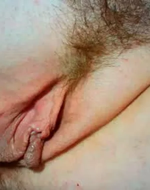 Xollan