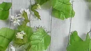 Eine kleine Probe der Feuchtigkeitspflege für meine Füße, Liebling