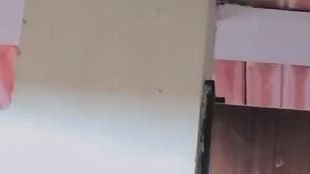 Sinnlichkeit in einem Kleid