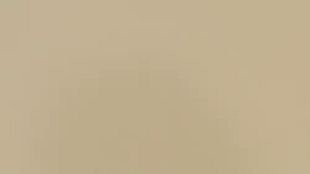 Megan bringt ihren freundin Eden Dark mit, um zusammen gefi**t zu werden